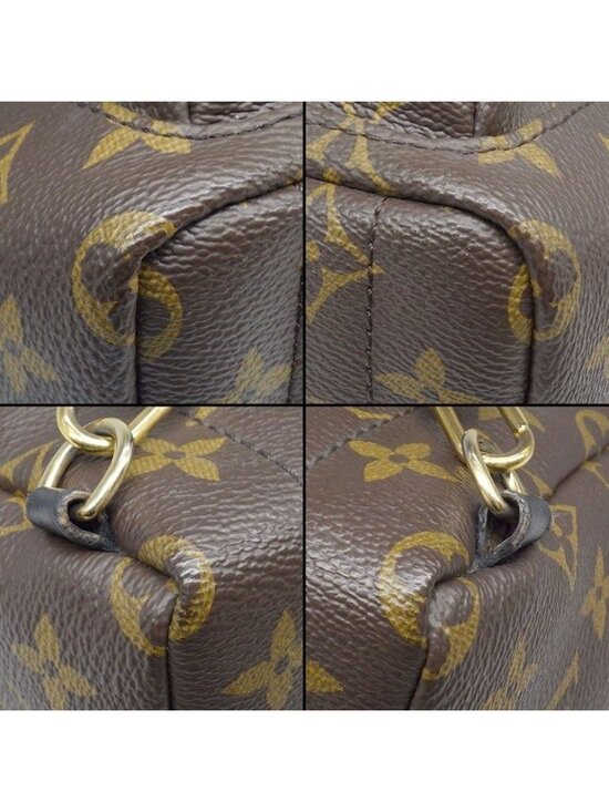 Louis Vuitton Backpack Palm Springs Mini Brown Monogram Canvas Leather